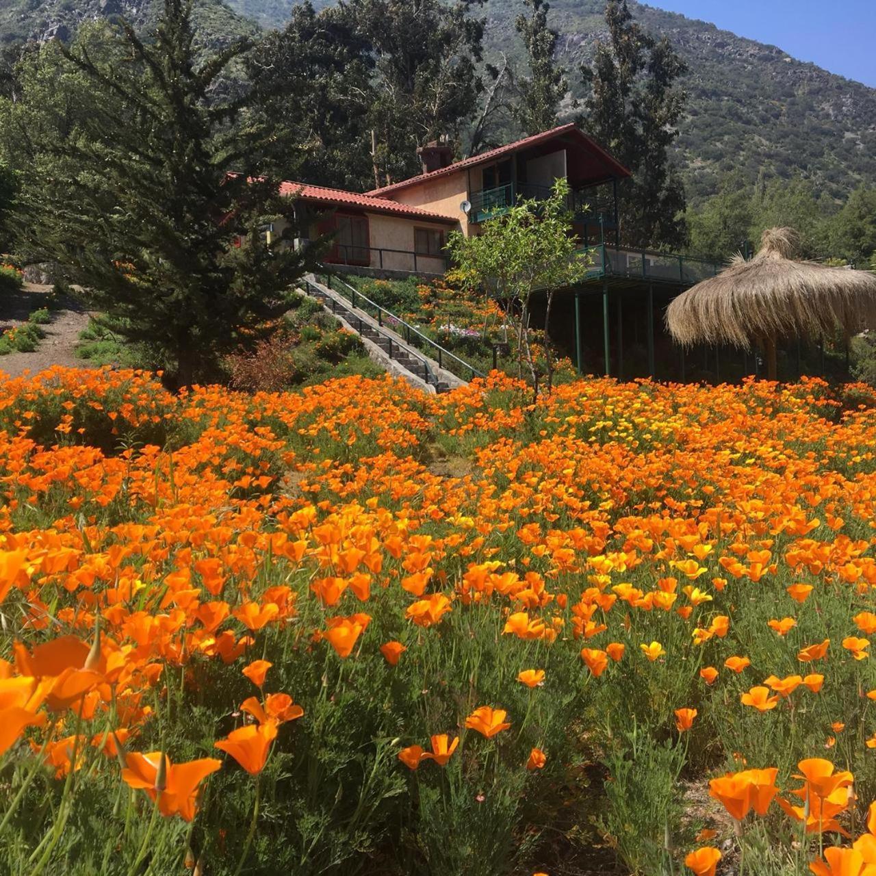 Miramonte B&B (Adults Only) Guayacan  외부 사진
